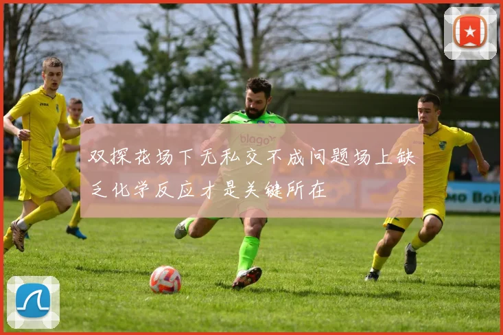 双探花场下无私交不成问题场上缺乏化学反应才是关键所在